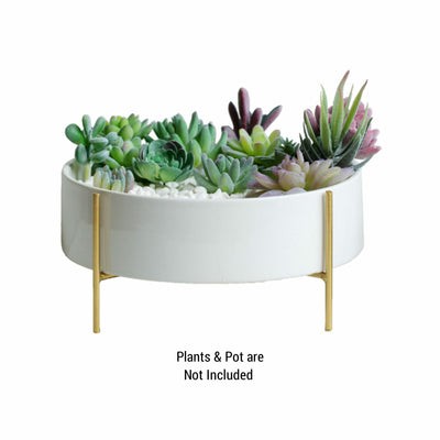 Home Shobha Mid Round Plate Metal Indoor Planter with Stand for Plants Like Cactus or Living Room Drawing Room Balcony Lobby For Pots And Plants
