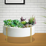 Home Shobha Mid Round Plate Metal Indoor Planter with Stand for Plants Like Cactus or Living Room Drawing Room Balcony Lobby For Pots And Plants