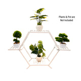 Home Shobha Hexagonal Plant Stand for Multiple Plants Indoor & Outdoor or Living Room Drawing Room Balcony Lobby For Pots And Plants