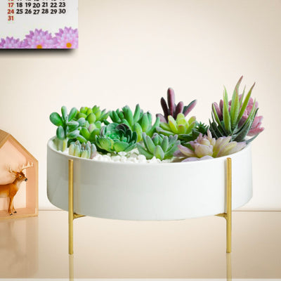 Home Shobha Mid Round Plate Metal Indoor Planter with Stand for Plants Like Cactus or Living Room Drawing Room Balcony Lobby For Pots And Plants