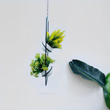 Vertical Ceiling Plant Black Metal Hanger